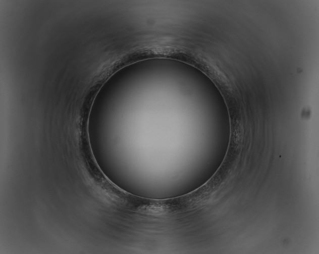 X0000089910639200707131350