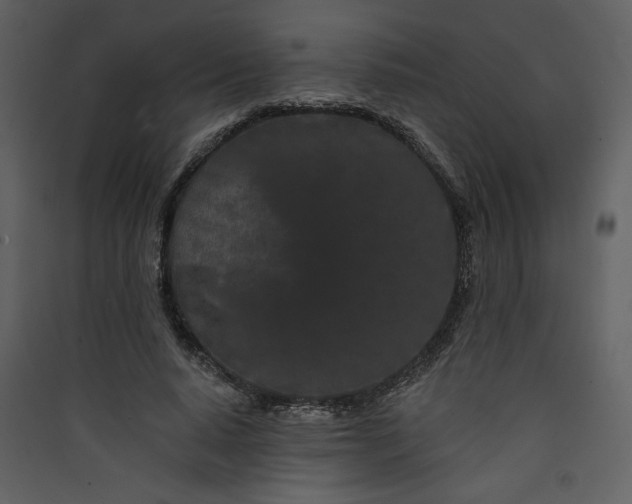 X0000089910640200707131350