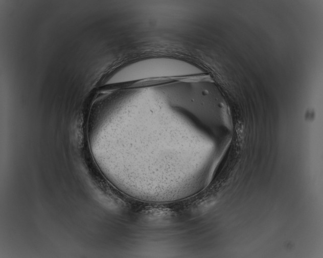 X0000089910642200707131350