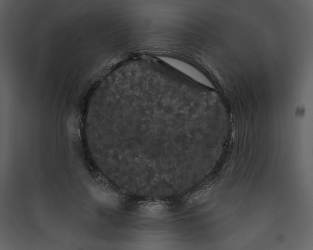 X0000089910643200707131350