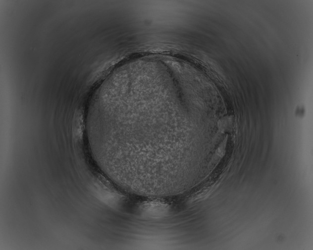 X0000089910644200707131350