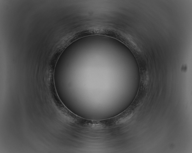 X0000089910645200707131350