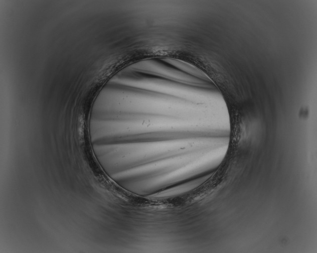 X0000089910646200707131350
