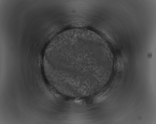 X0000089910647200707131350
