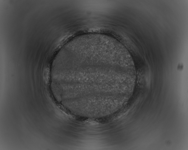 X0000089910648200707131350