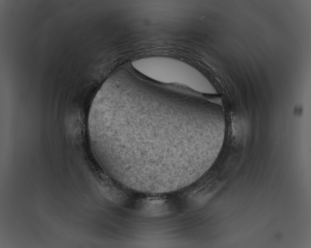 X0000089910651200707131350