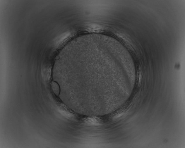 X0000089910652200707131350