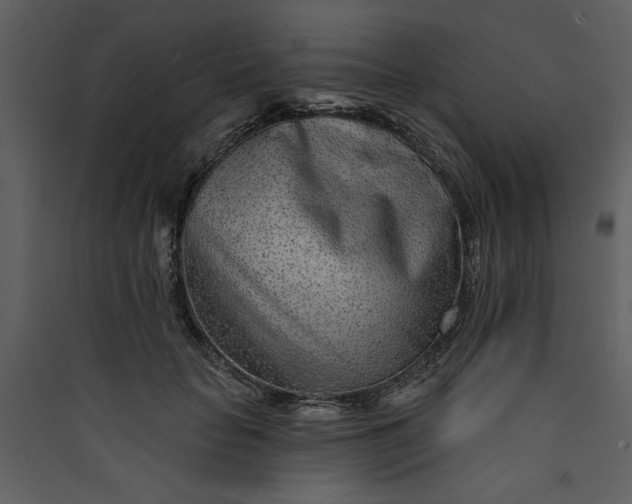 X0000089910653200707131350