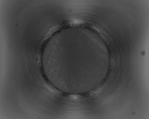 X0000089910654200707131350