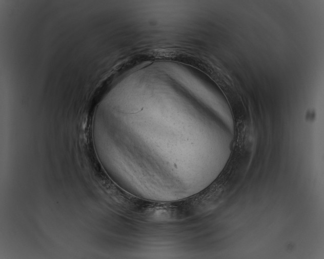 X0000089910655200707131350