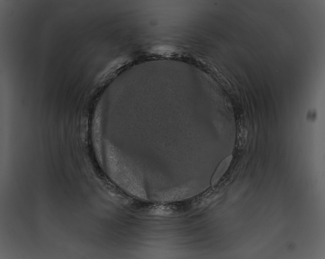 X0000089910656200707131350