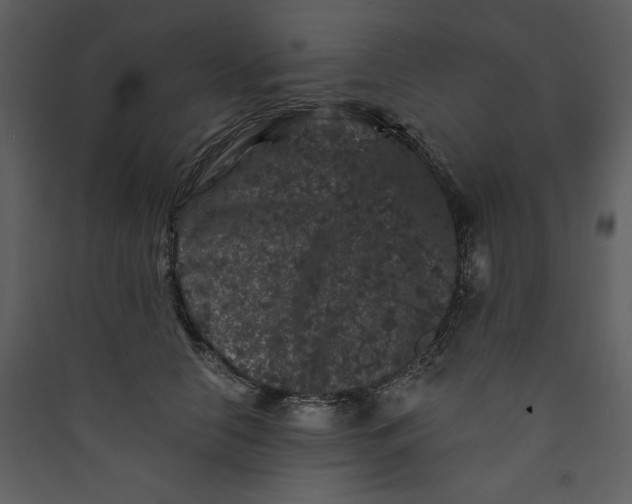 X0000089910658200707131350