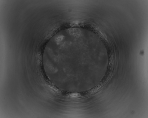 X0000089910659200707131350