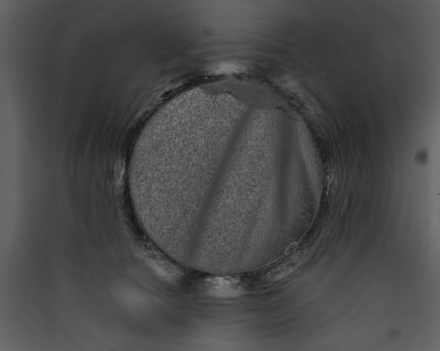 X0000089910660200707131350