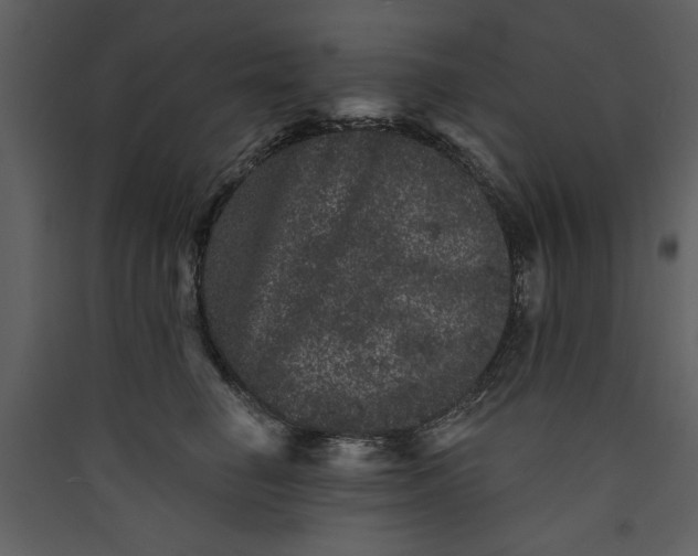 X0000089910662200707131350
