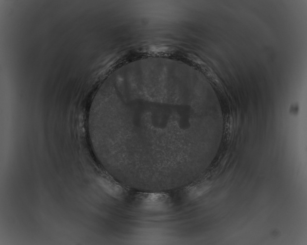 X0000089910663200707131350