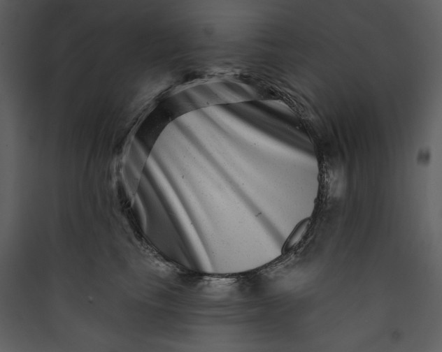 X0000089910665200707131350