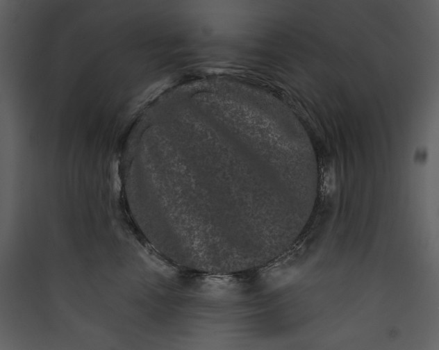 X0000089910666200707131350