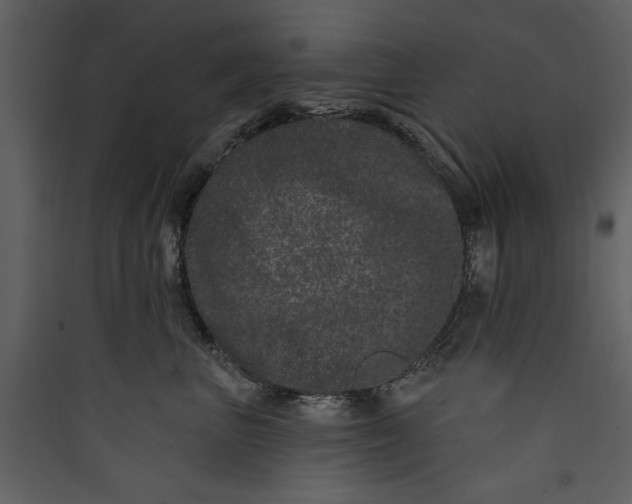 X0000089910667200707131350