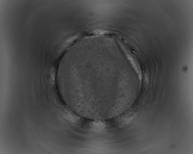 X0000089910668200707131350