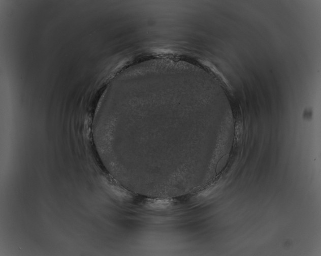 X0000089910671200707131350
