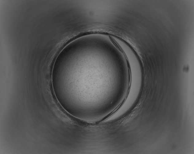 X0000089910673200707131350