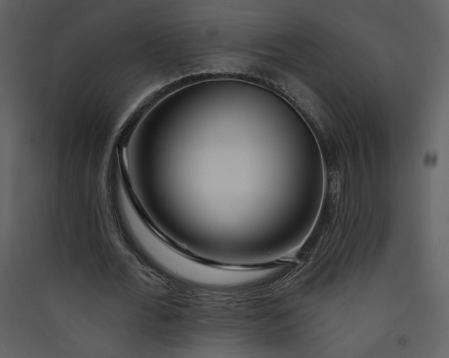 X0000089910676200707131350