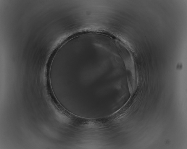 X0000089910678200707131350
