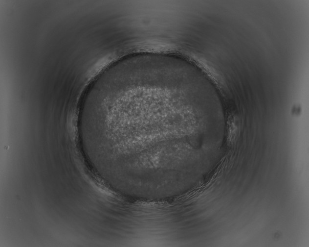 X0000089910679200707131350