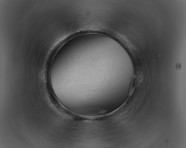 X0000089910680200707131350