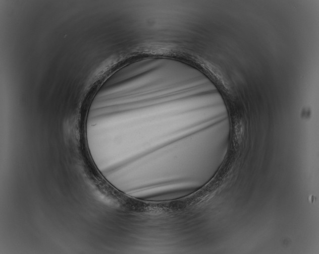 X0000089910682200707131350