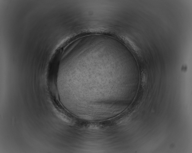 X0000089910684200707131349
