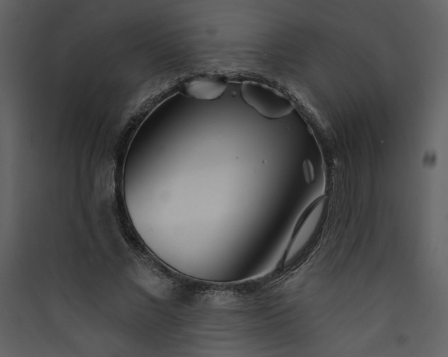 X0000089910685200707131349