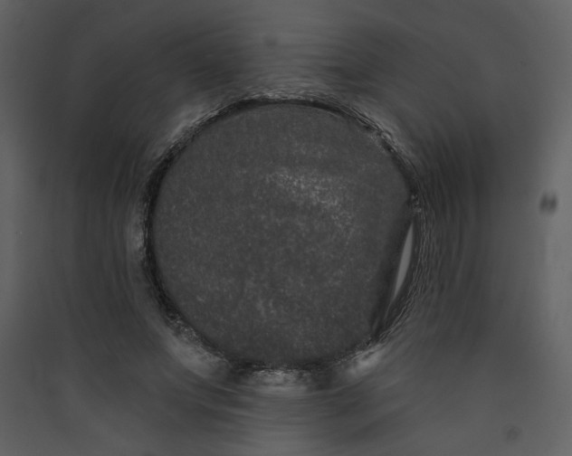X0000089910687200707131349