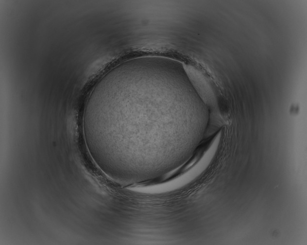 X0000089910688200707131349