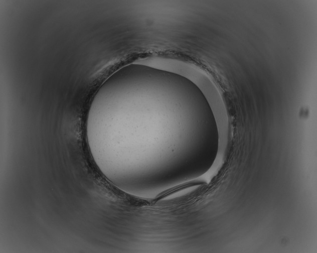 X0000089910689200707131349