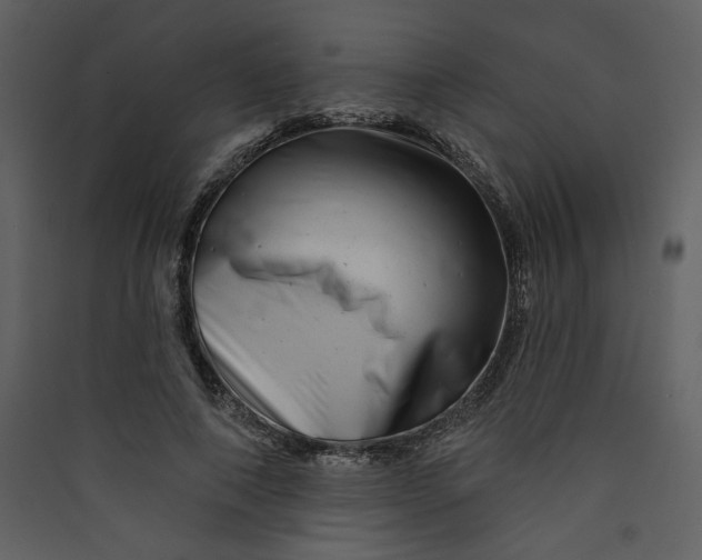 X0000089910690200707131349