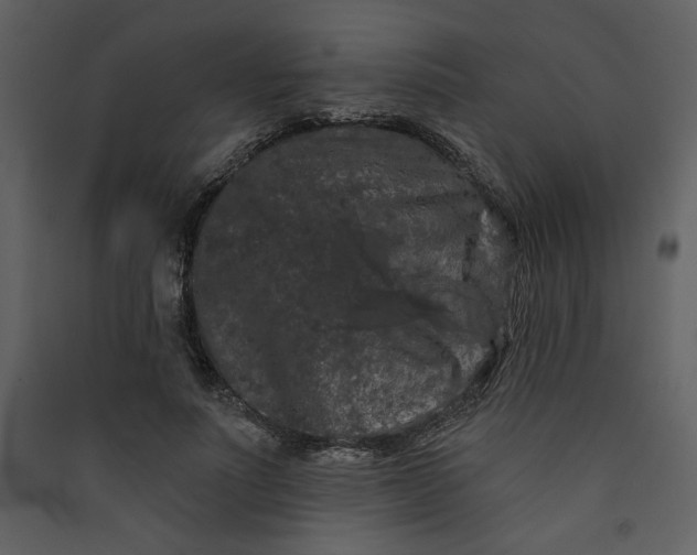 X0000089910691200707131349