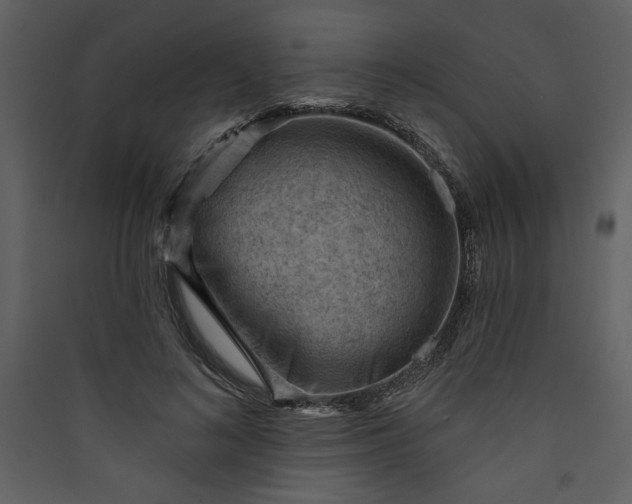 X0000089910692200707131349