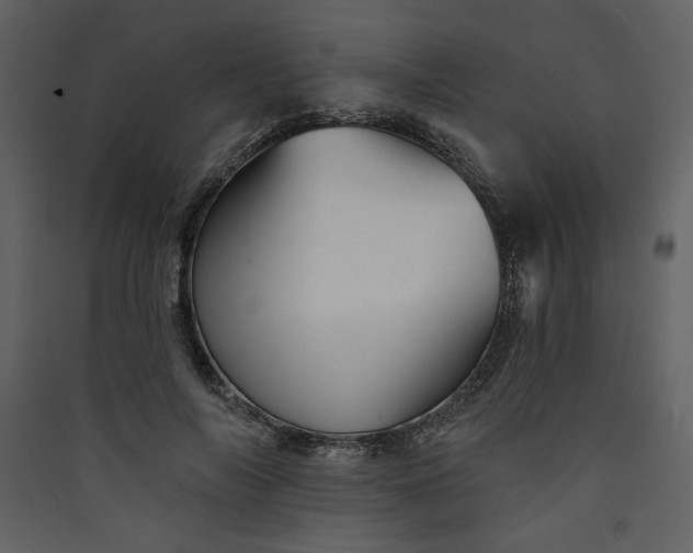 X0000089910694200707131349