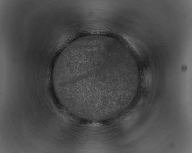 X0000089910695200707131349
