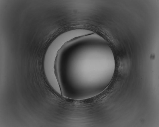 X0000089910697200707131349