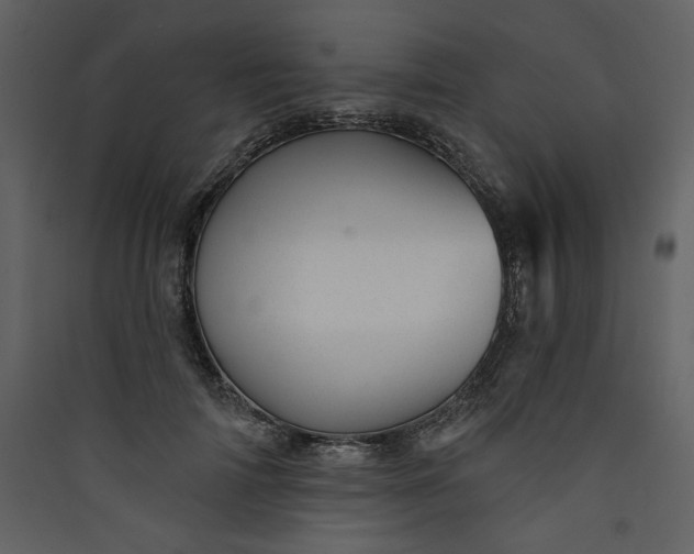 X0000089910698200707131349