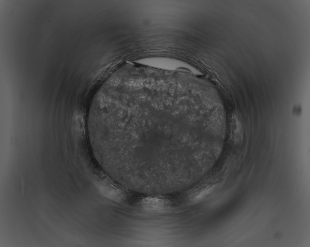 X0000089910699200707131349