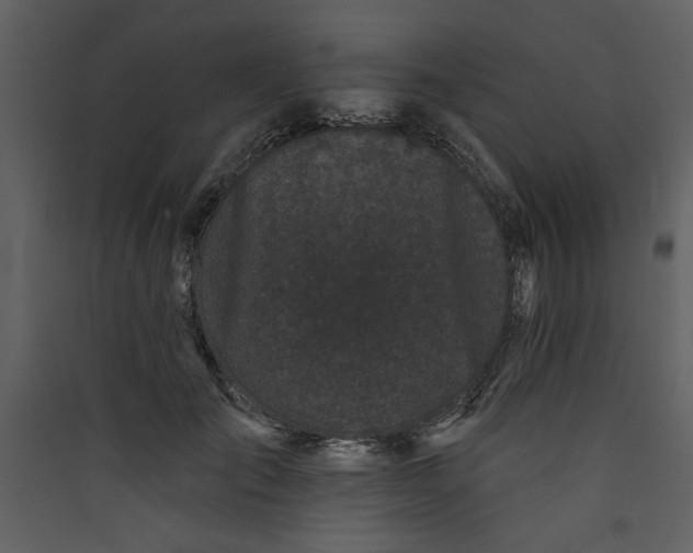 X0000089910701200707131349