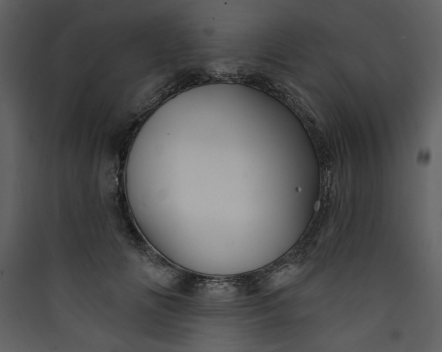 X0000089910702200707131349
