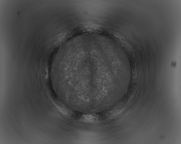 X0000089910703200707131349