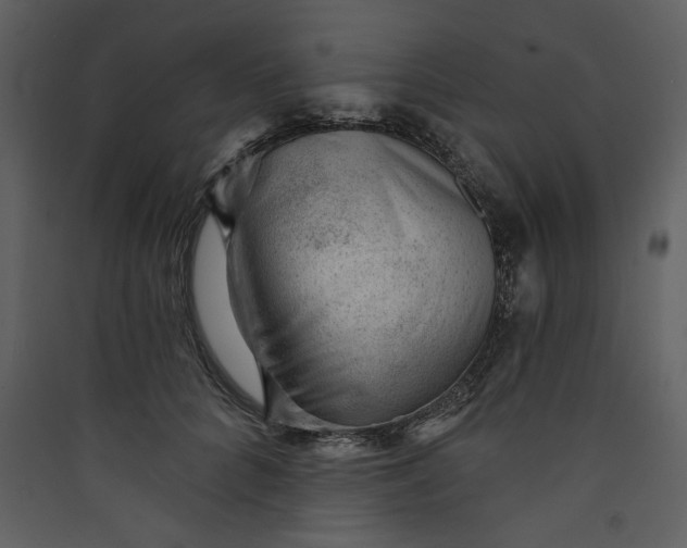 X0000089910704200707131349