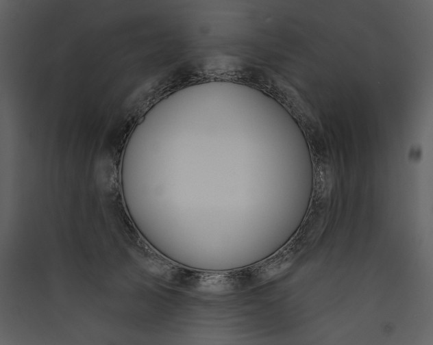 X0000089910705200707131349