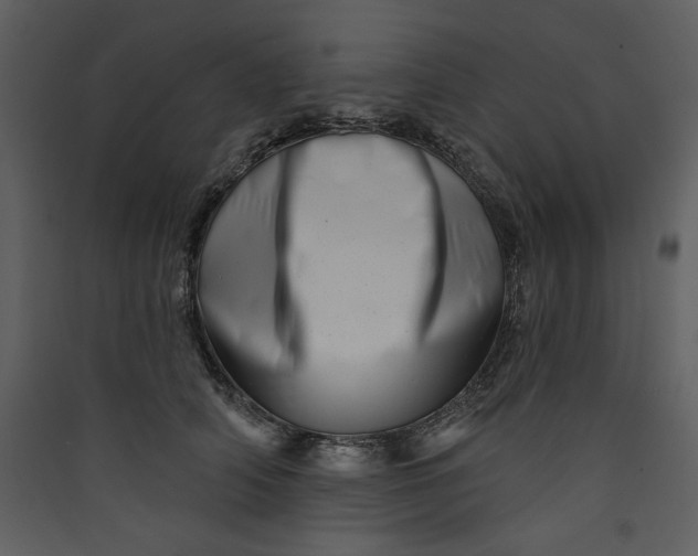 X0000089910706200707131349